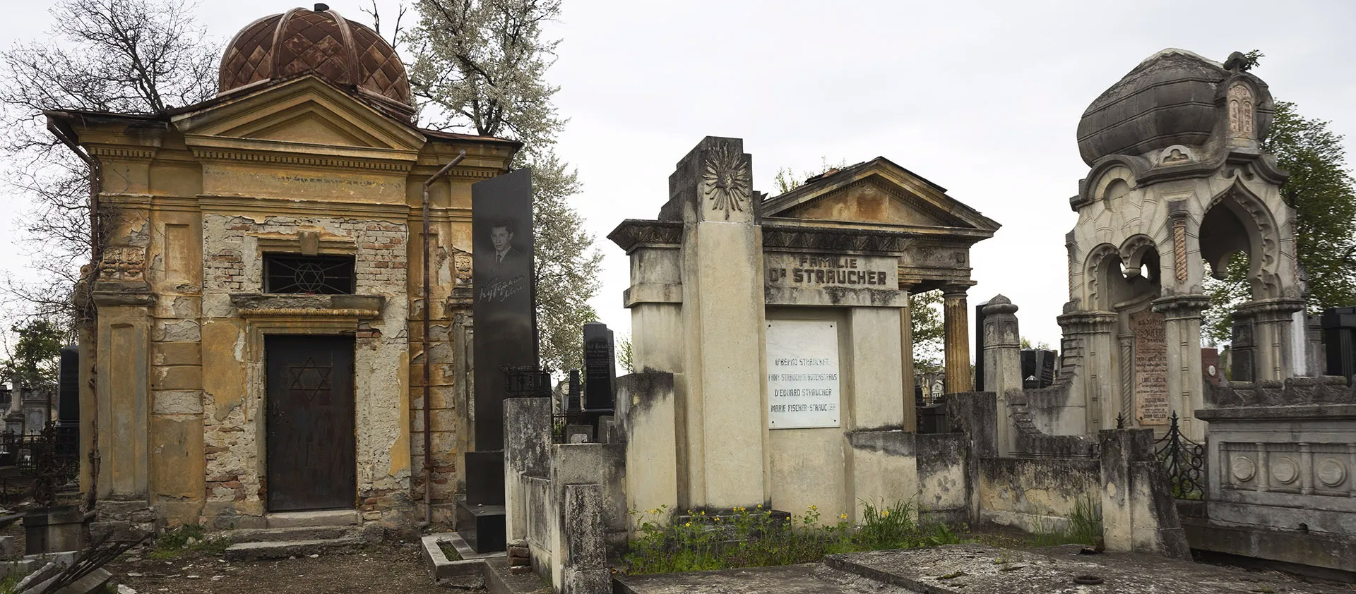 Najciekawsze cmentarze w Polsce i dlaczego warto je odwiedzić?